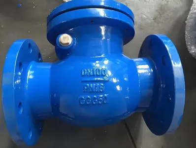 Zawór zwrotny z żeliwa sferoidalnego PN10